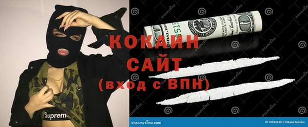ПСИЛОЦИБИНОВЫЕ ГРИБЫ Вяземский