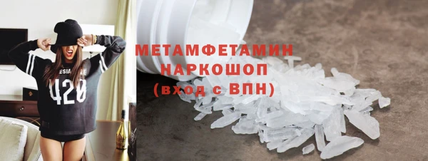 ПСИЛОЦИБИНОВЫЕ ГРИБЫ Вяземский