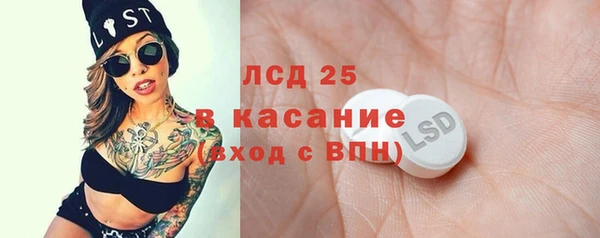 ПСИЛОЦИБИНОВЫЕ ГРИБЫ Вяземский