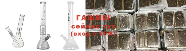 ПСИЛОЦИБИНОВЫЕ ГРИБЫ Вяземский