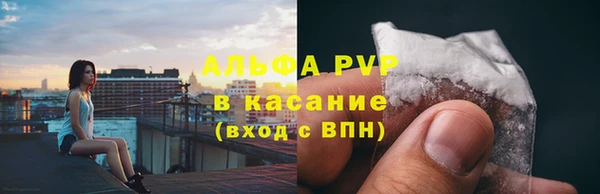 ПСИЛОЦИБИНОВЫЕ ГРИБЫ Вяземский