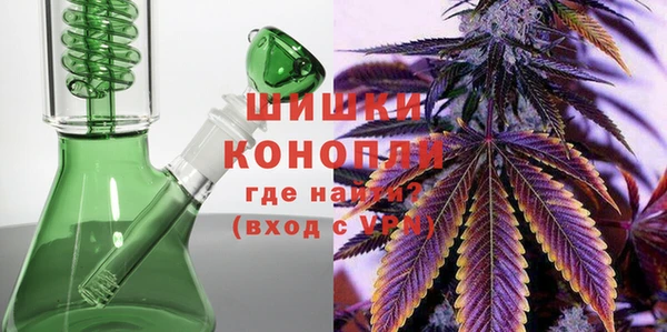ПСИЛОЦИБИНОВЫЕ ГРИБЫ Вяземский