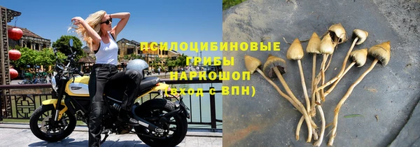 ПСИЛОЦИБИНОВЫЕ ГРИБЫ Вяземский