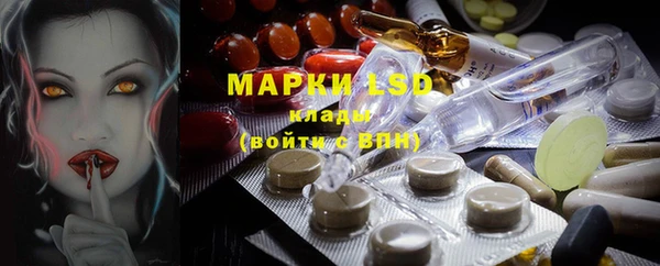 ПСИЛОЦИБИНОВЫЕ ГРИБЫ Вяземский
